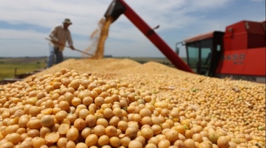 Agroexportadores liquidaron casi un 40% más de dólares que en abril de 2018