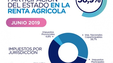 En junio, un productor bonaerense destinó casi el 60% de su renta a pagar impuestos