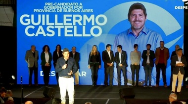 Bajan la candidatura de Castello y se desvanece el armado bonaerense de Espert