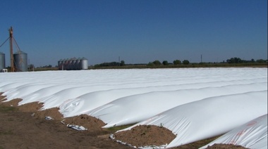 Desde CRA piden más patrullajes en campos por la rotura de silo bolsas