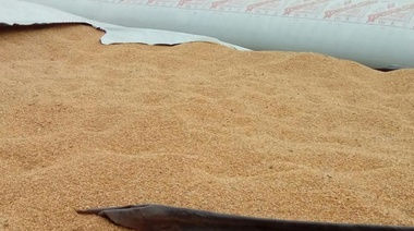 Para Beligoi, “las roturas de los silo bolsas son actos vandálicos que no aportan nada”