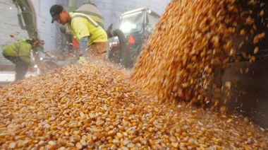 Crisis económica: Recibidores de Granos anunciaron paritarias semestrales