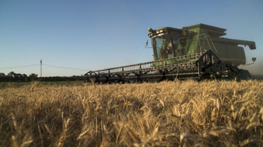 Pese al leve repunte en julio, la actividad del campo acumula una caída de 2,1%