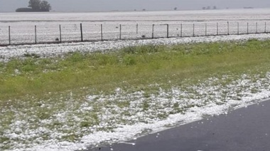Por el temporal en Pergamino, hay preocupación en el campo por la siembra de trigo