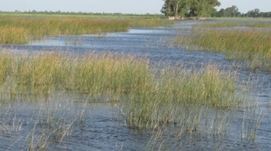 La Rural de Trenque Lauquen denunció que podrían ser "reservorio de agua" durante una inundación