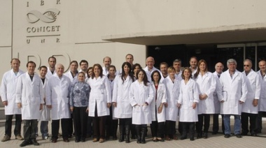 El gobierno anunció un aumento de las becas para investigadores del Conicet