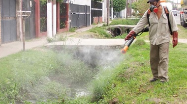 Lanzan una campaña de prevención del dengue y confirman 45 casos