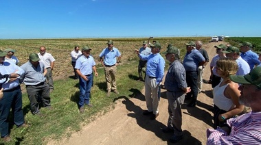 Con la presencia de Basterra , arrancó en Salto la cosecha 2020 de semilla de maíz