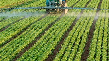 La Provincia prorrogó la suspensión de las pautas para uso de agroquímicos