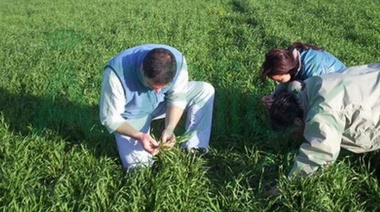 Crean un registro de agropymes para asistir al sector agropecuario