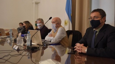 El titular del IPS expuso en Diputados en busca de reformar el sistema provisional