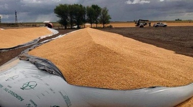 Frederking repudió la rotura de silo bolsas y remarcó que "están perjudicando al país"