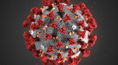 Seis vecinos de Junín dieron positivo de covid-19 este martes: 38 casos activos