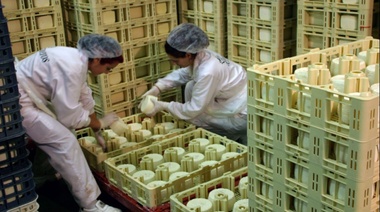 Productores le piden a Basterra que elimine retenciones a las exportaciones de productos lácteos