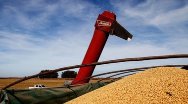 Oficializan la baja de las retenciones a la soja: conoce como será