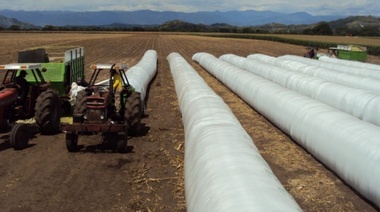 Basterra: “Hay 7 mil millones de dólares en materia prima sin liquidar”