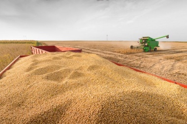 El Gobierno subió las retenciones a la soja de 30% a 33% pero solo a grandes productores