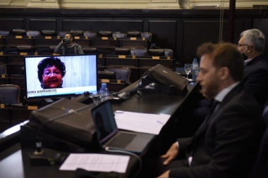 En Provincia, el simulacro de sesión funcionó de manera virtual en Diputados