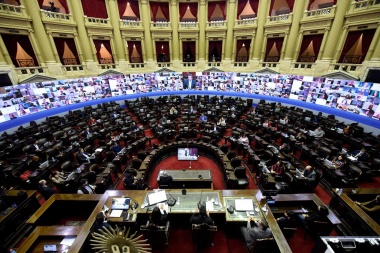 Senadores y Diputados sesionarán virtualmente para tratar leyes del Ejecutivo