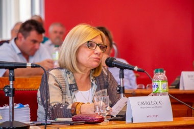 "Se garantizan los servicios del municipio en un contexto de crisis extrema por la pandemia", evaluó Cavallo