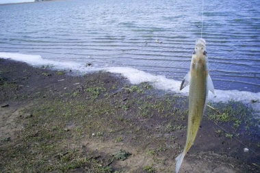 El Municipio envió a provincia el protocolo para habilitar la pesca
