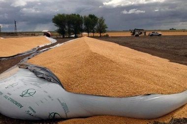 El gobierno intenta seducir al campo para que acelere liquidación de granos