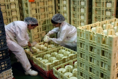 Productores le piden a Basterra que elimine retenciones a las exportaciones de productos lácteos