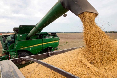 Buena noticia para la Argentina: el precio de la soja se dispara con récord