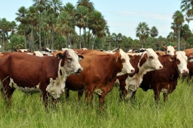 Carbap pidió la intervención de Desarrollo Agrario por la ordenanza que regula la cría de ganado en Alberti