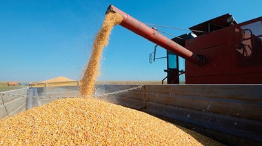 Consejo Agroindustrial pide extender la quita de retenciones al campo