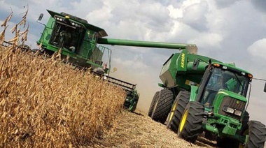 Cosecha: La soja marca máximos en 9 años y ya superó los U$S600