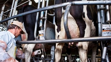 Bajó el consumo de leche y la producción anual será menor que el 2020
