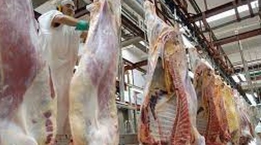 La Mesa de las Carnes volvió  a pedir levantar el cepo exportador