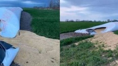 Denuncian nueva rotura de silo bolsa y daños en un campo de Trenque Lauquen