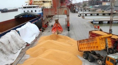Alerta en el campo: China reduce al 30% las importaciones de soja