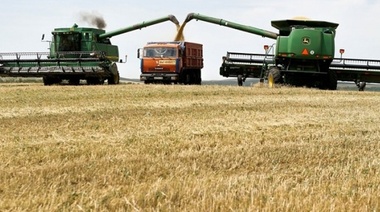 En todas las ciudades agropecuarias, el campo castigó duro al Gobierno en las urnas