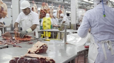 Proyectan para el 2022 la construcción de 19 frigoríficos en la Provincia