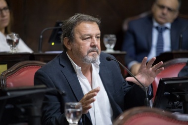 Senador de JxC planteó que haya primarias solo en los frentes electorales que no acuerden
