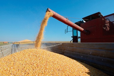 Consejo Agroindustrial pide extender la quita de retenciones al campo