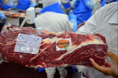 No levantarían el cierre de exportaciones de carne antes de los 30 días