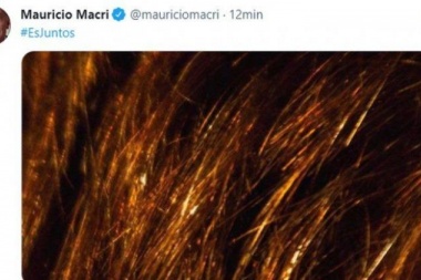 Santilli lanzó su campaña con una llamativa foto en sus redes sociales