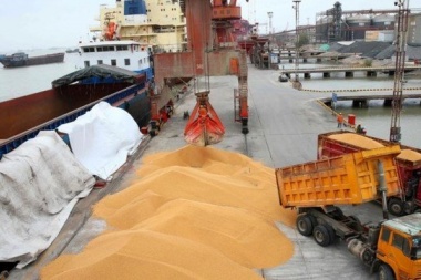 Alerta en el campo: China reduce al 30% las importaciones de soja