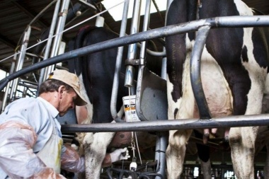 Pese a la caída del consumo interno, crecen las exportaciones del sector lácteo