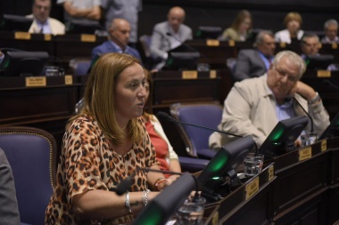 "No es bueno para nadie", criticó Arata sobre la reforma al proyecto de las re-re