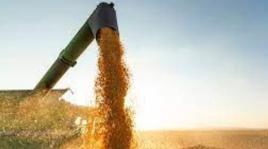 Afirman que el ingreso de dólares por el agro creció un 61,8 por ciento