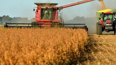 El fenómeno La Niña pone en riesgo la proyección de cosechas récords