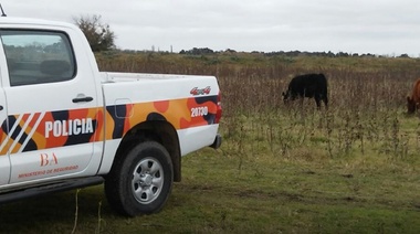 Concejales linqueños piden a provincia que revoque el traslado de un móvil y personal policial