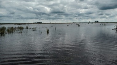 Alarma en la cuarta: General Villegas tiene el 40% de sus campos bajo el agua