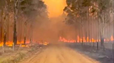 La UCR Junín criticó al gobierno nacional ante el incendio en Corrientes: "dónde está?"