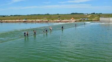 Nueva alerta roja en las lagunas de Junín por cianobacterias